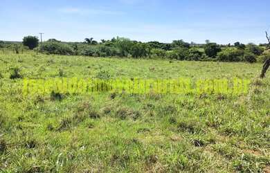 Imagem 14: Sítio 2,50 hectares, muita água, entre Uberlândia e Monte Alegre