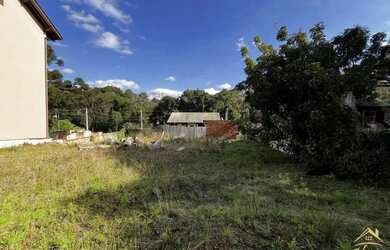 Imagem 4: Terreno próximo ao centro de Nova Petrópolis RS REF 1661