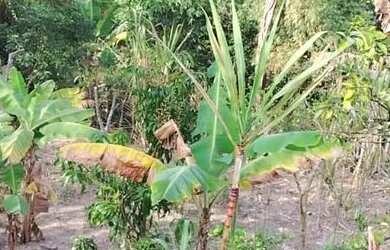 Imagem 4: Chácara pronta para lazer e moradia - São José dos Campos - SP