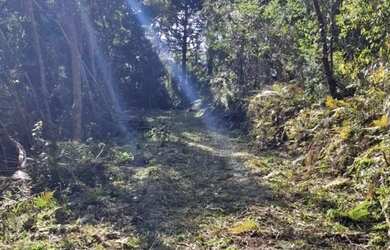 Imagem 11: Terreno Amplo 6,9 Hectares - Gramado RS - Excelente Localização