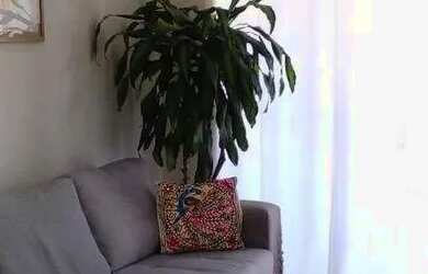 Imagem 3: Casa à venda, 3 quartos, 1 suíte, 4 vagas, Chácaras Alpina - Valinhos/SP