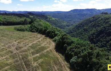 Imagem 6: Sítio / Chácara para Venda em Nova Petrópolis, Linha Araripe