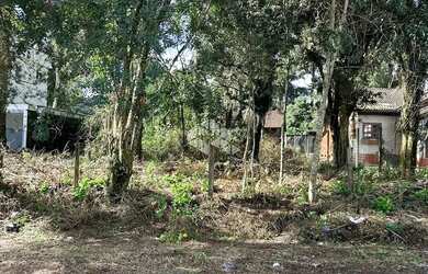 Imagem 5: Terreno junto ao centro de Canela