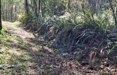 Imagem 5: Terreno Amplo 6,9 Hectares - Gramado RS - Excelente Localização