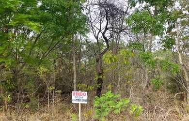 Imagem: A chácara possui 320m² de Área e está localizado em Plano