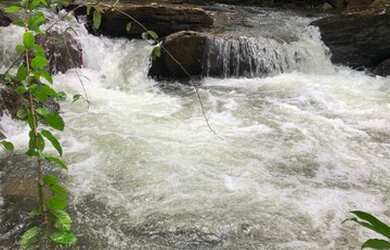 Imagem: A chácara possui 7.000m² de Área e está localizado em Palmas