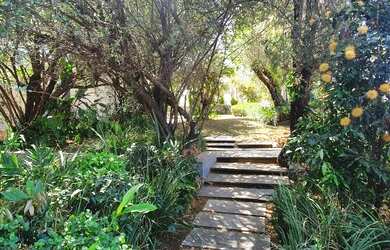 Imagem 6: Belo Horizonte - Casa Padrão - São Luiz