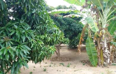 Imagem 6: Vende se sitio em maetinga