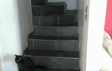 Imagem 2: Casa a venda no Jaguare. 150m² de Área, 3 Vagas na garageme3 Dormitórios