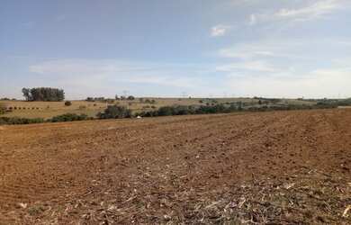 Imagem 4: Sítio á Venda 26.000 m ² em Artur Nogueira por R$ 399.000