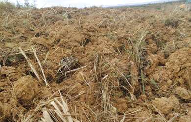 Imagem 5: FAZENDA À VENDA OU ARRENDAMENTO COM 55 HECTARES, NO ALTO PARANAÍBA
