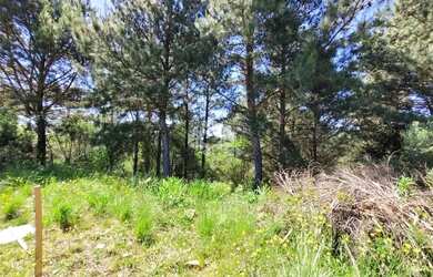 Imagem 3: TERRENO NO LOTEAMENTO MARSAL