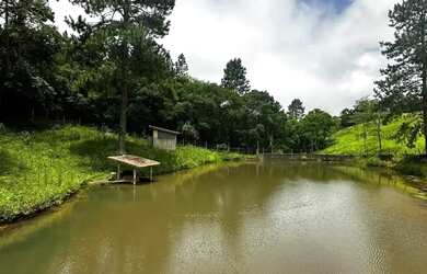 Imagem 13: Lote com vista para lago Terreno venda tem 500 metros quadrados em Lageadinho - Ibiúna - S