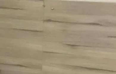 Imagem 7: Casa à venda no bairro Plano Diretor Sul - Palmas/TO