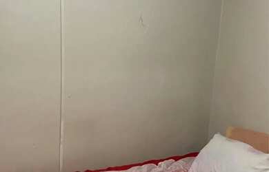 Imagem 14: Aluguel de Casa - 4 Quartos 2 Banheiros 1 Suíte - Ótima Localização