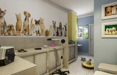 Imagem 6: Alto Santa Lúcia