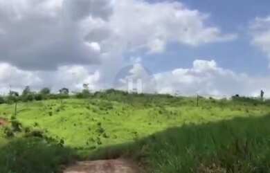 Imagem 2: 250 Hectares por 1,6 milhões de reais no Pará