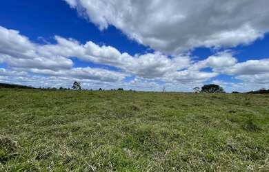 Imagem 8: Vendo fazenda em cocos BA