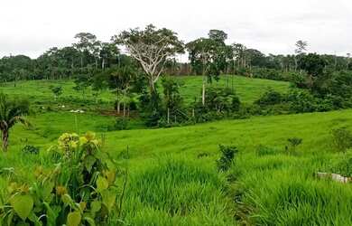 Imagem: A fazenda está localizado em Sena Madureira, AC à venda por