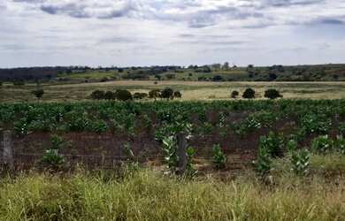 Imagem 11: Vendo fazenda em cocos BA