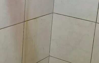 Imagem 8: Casa Jaguaripe 1 cajazeiras