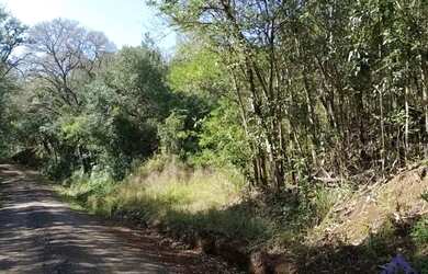 Imagem 3: CHÁCARA SÃO JOSÉ DO CAÍ