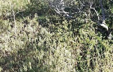 Imagem 7: Terreno no alto de buzios 10 30 com vista ao mar 120.000R