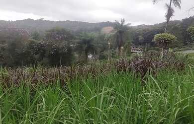 Imagem 3: 1.1 hectares pasto e capineira casarão 447 mil reais