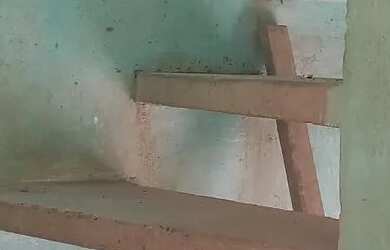 Imagem 12: Casa Jaguaripe 1 cajazeiras