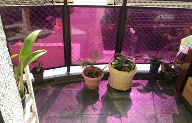 Imagem 10: Apartamento em Rua Buarque de Macedo - Jardim Brasil - Campinas/SP