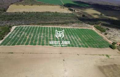 Imagem 11: FAZENDA NO NORTE DE MINAS COM PIVÔ NA BEIRA DO RIO SÃO FRANCISCO PARA...