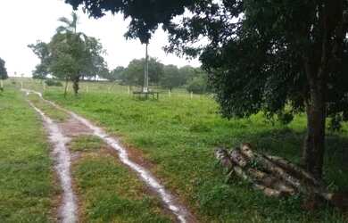 Imagem: A fazenda possui 7m² de Área e está localizado em Setor