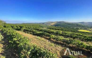 Imagem 2: FAZENDA DE ALTO PADRÃO 729 HECTARES MINAS GERAIS