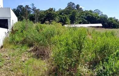 Imagem 6: TERRENO RESIDENCIAL em NOVA PETRÓPOLIS - RS, Pinhal Alto