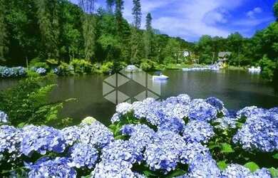 Imagem 6: TERRENO NO LOTEAMENTO MARSAL