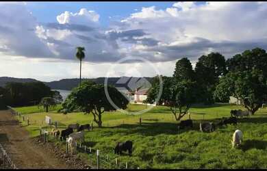 Imagem 16: Chácara à Venda 7,5 Alqueires em Três Barras do Paraná codigo 138616