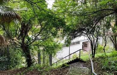 Imagem 15: Casa Hamburgo Velho Novo Hamburgo