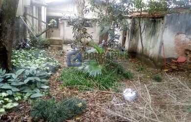 Imagem 3: SAO BERNARDO DO CAMPO - Residential / Land Lot - BAETA NEVES