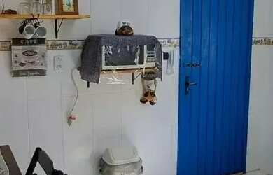 Imagem 7: Imóvel para venda com 110 metros quadrados com 2 quartos em Ouro Verde...