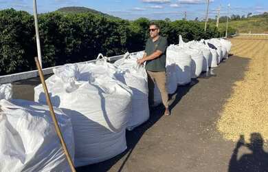 Imagem 5: FAZENDA DE ALTO PADRÃO 729 HECTARES MINAS GERAIS