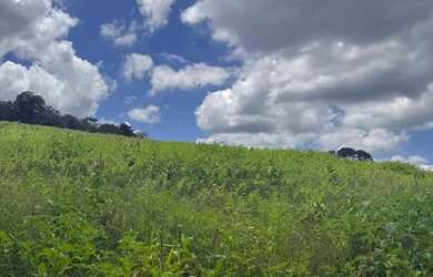 Imagem: Lotes a partir de 500 m² em Ibiúna/SP