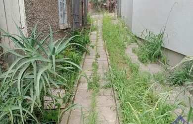 Imagem 4: TERRENO PIO X. 242m² de Área