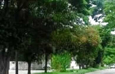 Imagem 8: SOBRADO À VENDA167m² 2 QUARTOS EDICULA 2 VAGAS CHURRASQUEIRA EM JARDIM...