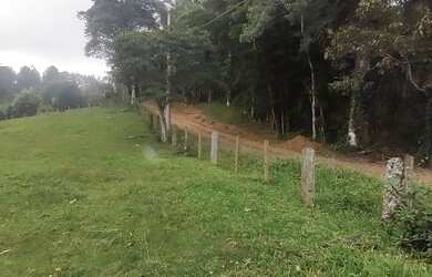 Imagem 2: 1.1 hectares pasto e capineira casarão 447 mil reais