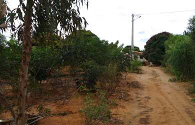 Imagem 13: Vende se sitio em maetinga