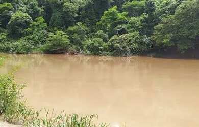 Imagem: A fazenda e está localizado em Buenolândia, Goiás à venda