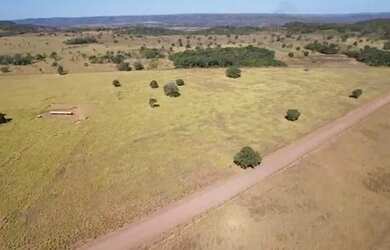Imagem 9: fazenda dupla aptidão 540 hac