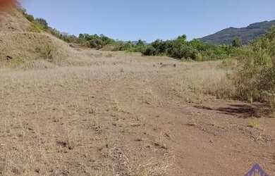 Imagem 7: CHÁCARA SÃO JOSÉ DO CAÍ