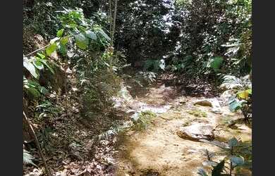 Imagem 13: Lote em Pedro Leopoldo. Piscina