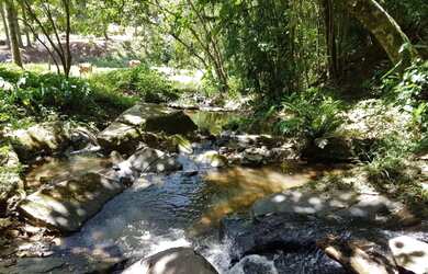 Imagem: A chácara possui 21000m² de Área e está localizado em Nazaré